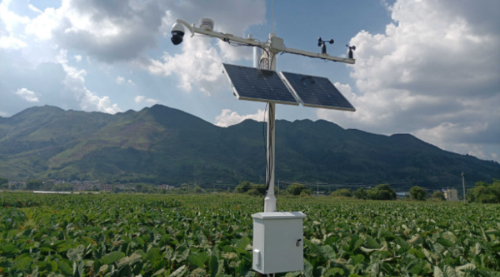 svcfzk1768889161351 1